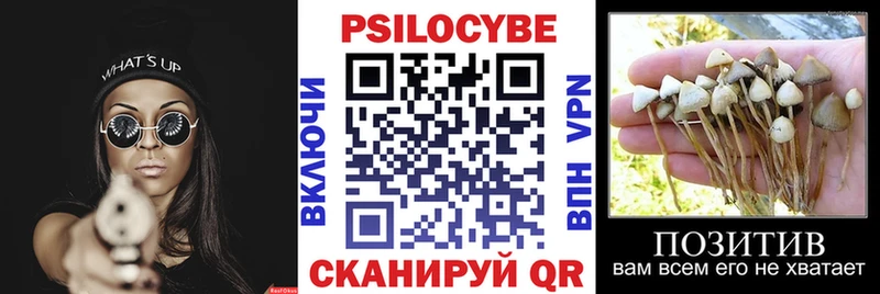 Псилоцибиновые грибы MAGIC MUSHROOMS  Ртищево 